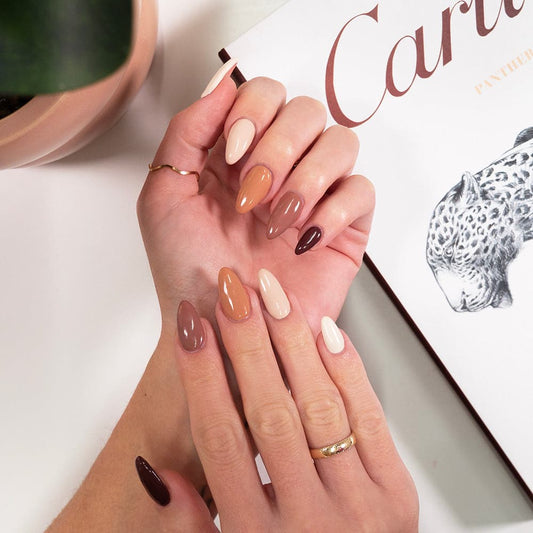 Nudes & Browns Polish Starter Pack