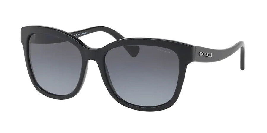 Coach HC8219 5002T3 Black/Gray Gradient