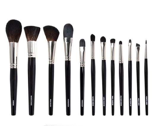 Professional Makeup Brushes, 12-Piece Set