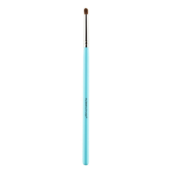 1.13 Pro - My Detailing Smudge Brush